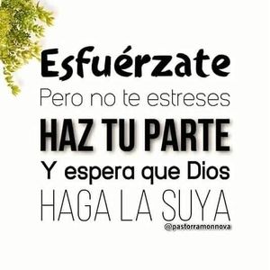 Meet your Posher, Floresr